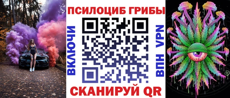 Галлюциногенные грибы Psilocybine cubensis  хочу наркоту  Дно 